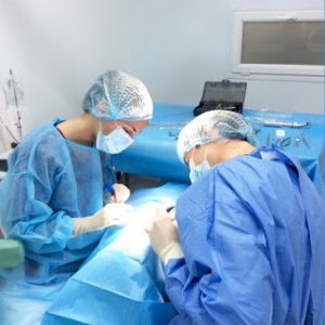 Dr Philippe TOURROLIER