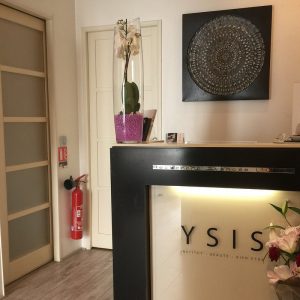 Institut Ysis